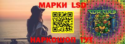 сатива Тверь