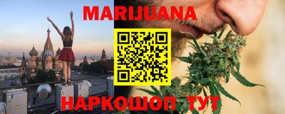 сатива Тверь