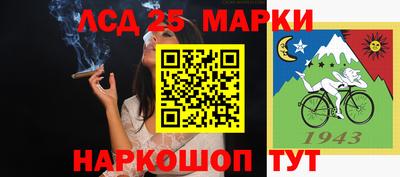 сатива Тверь