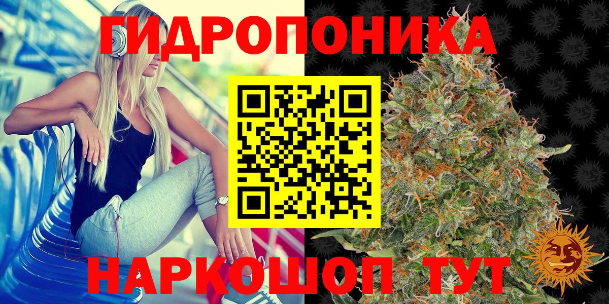 Нерюнгри  Шишки марихуана тримм  Вход с VPN  Канабис марихуана 